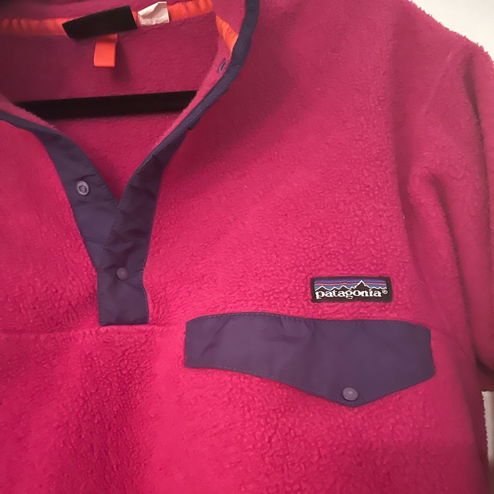 Patagonia Fleece Pullover - Picture 2 of 5